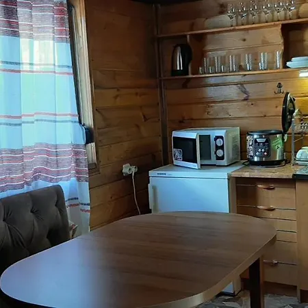 Wood-house Apartment Tatariv