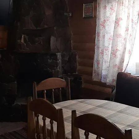 Apartment Wood-house Tatariv