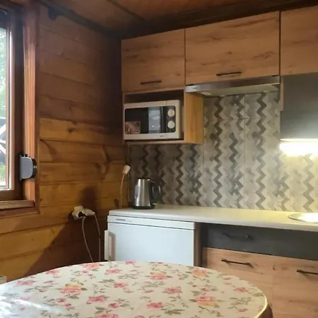 Wood-house Apartment Tatariv
