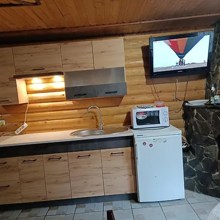 Apartment Wood-house *