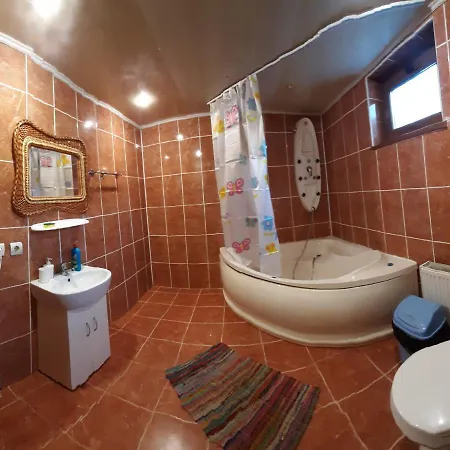 Apartment Wood-house Tatariv